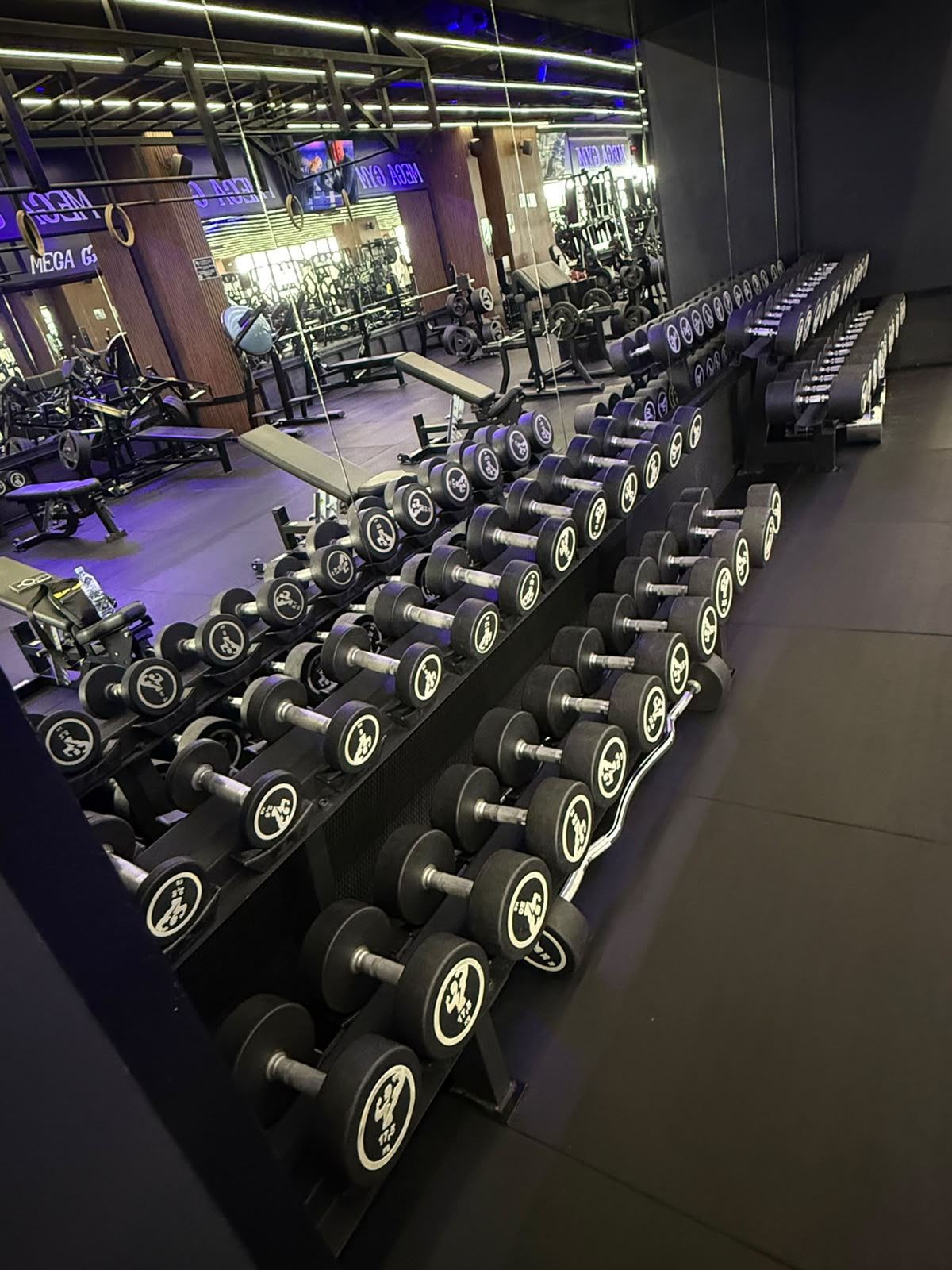 Professional dumbbell racks in the Mega Gym free-weight area
