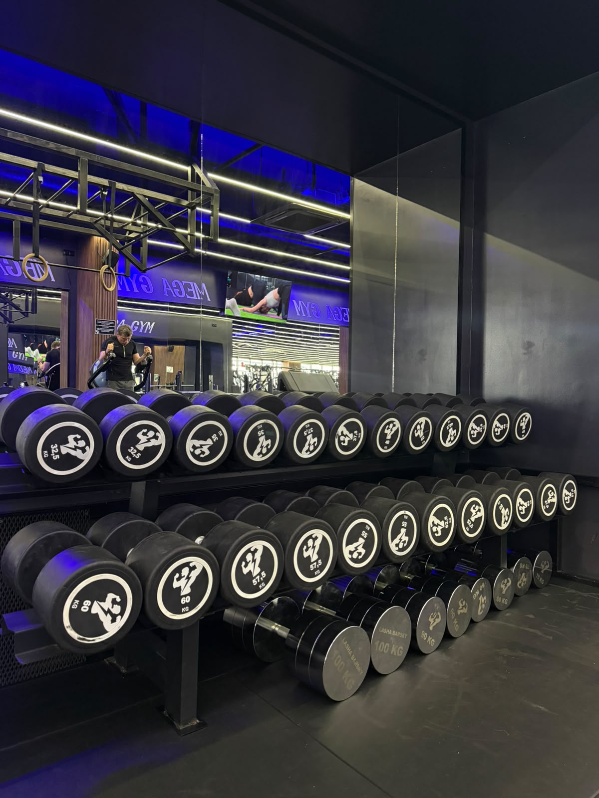 Heavy dumbbell rack up to 100 kg at Mega Gym Batumi
